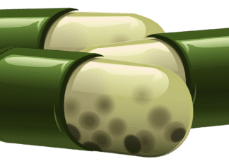 Do USN 19 Anabol Testo Caps Really Work? Review What You Need To Know About Tamoxifen In Bodybuilding